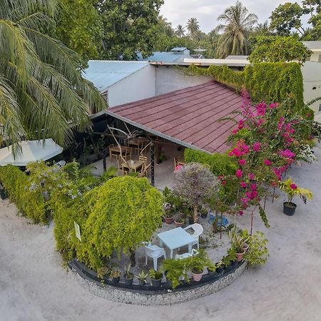 Turtle Maldives - Your Gateway To The Beach & Marine Adventures Await! Omadhoo Exterior photo