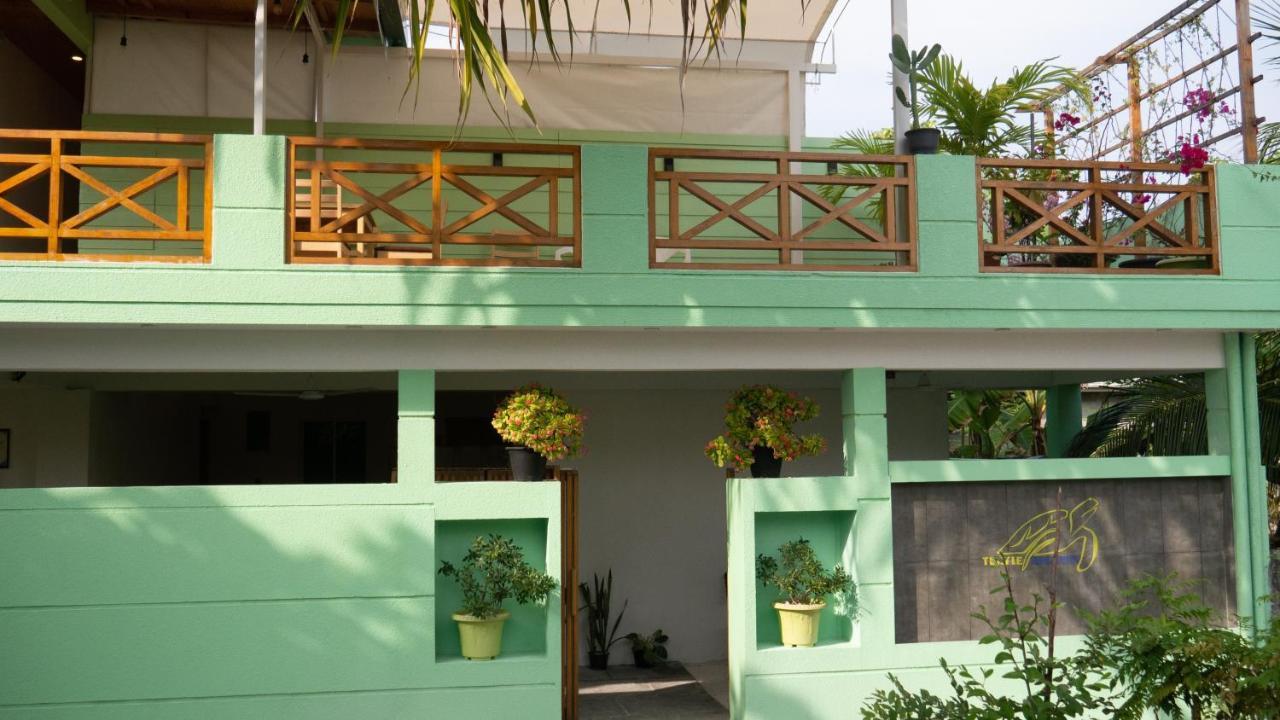 Turtle Maldives - Your Gateway To The Beach & Marine Adventures Await! Omadhoo Exterior photo