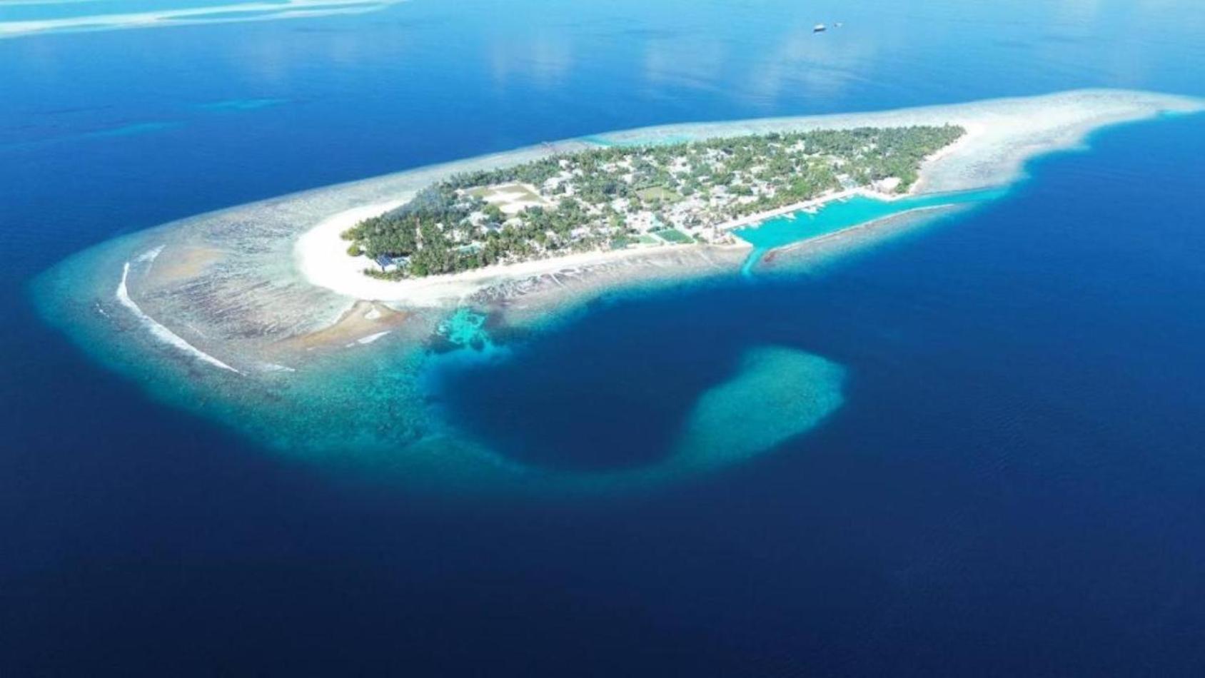 Turtle Maldives - Your Gateway To The Beach & Marine Adventures Await! Omadhoo Exterior photo