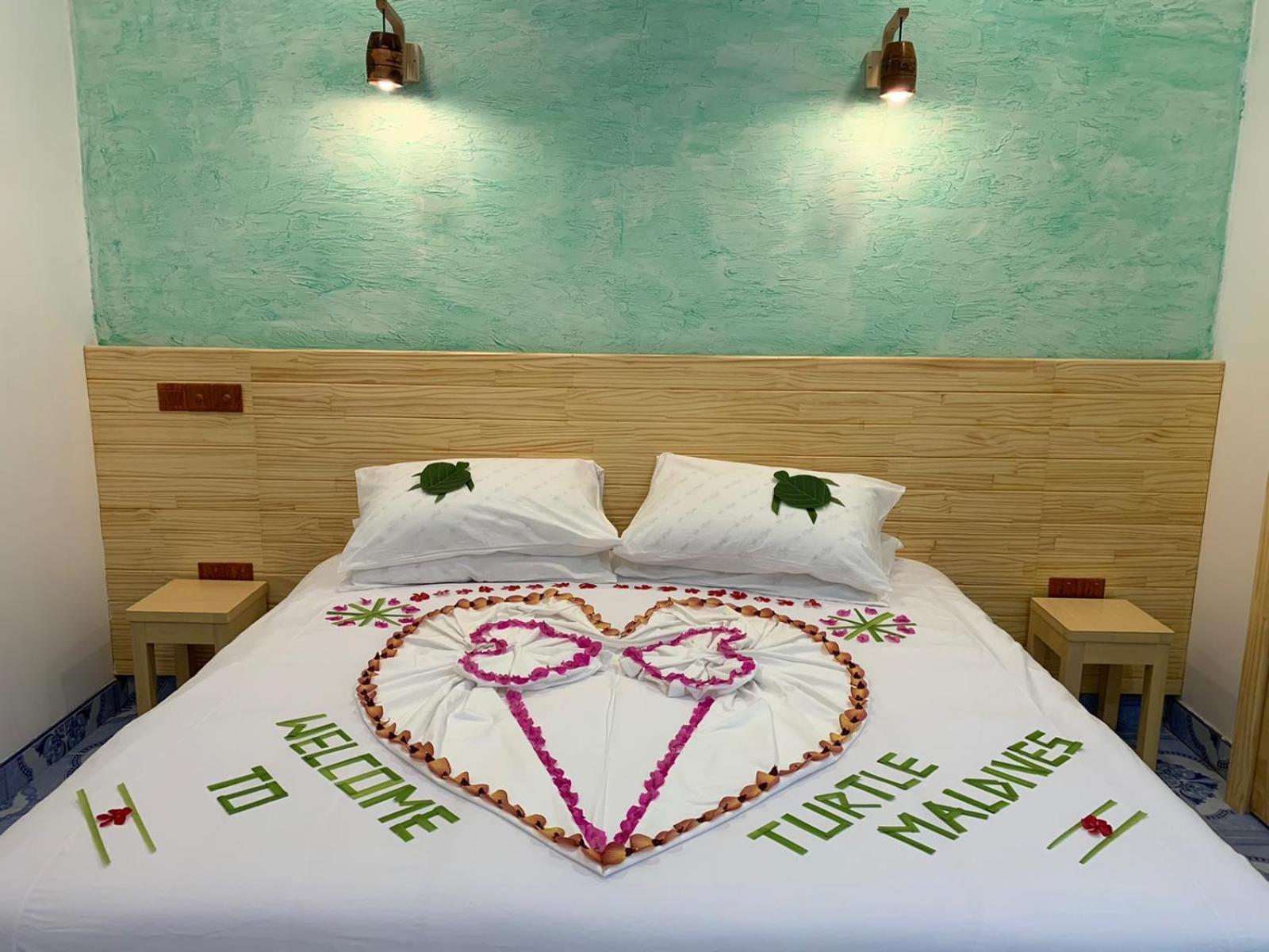 Turtle Maldives - Your Gateway To The Beach & Marine Adventures Await! Omadhoo Room photo